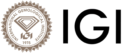 IGI Logo